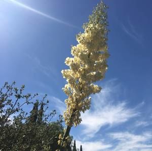 Meet your Posher, Todd